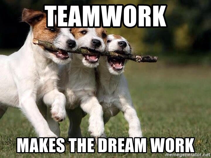 teamwork makes the dream work