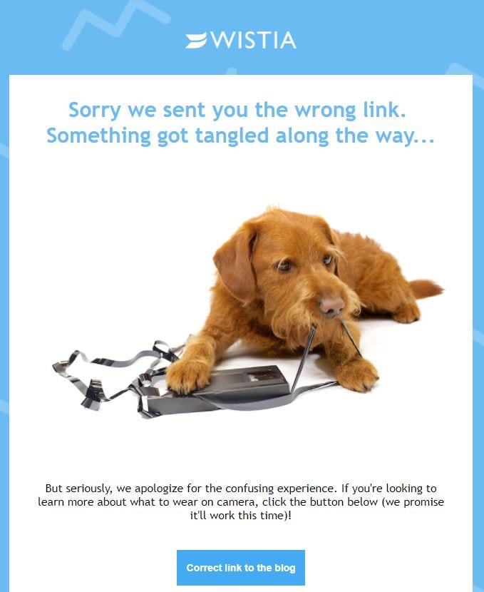 Wistia funny apology email with a puppy eating a VHS tape.